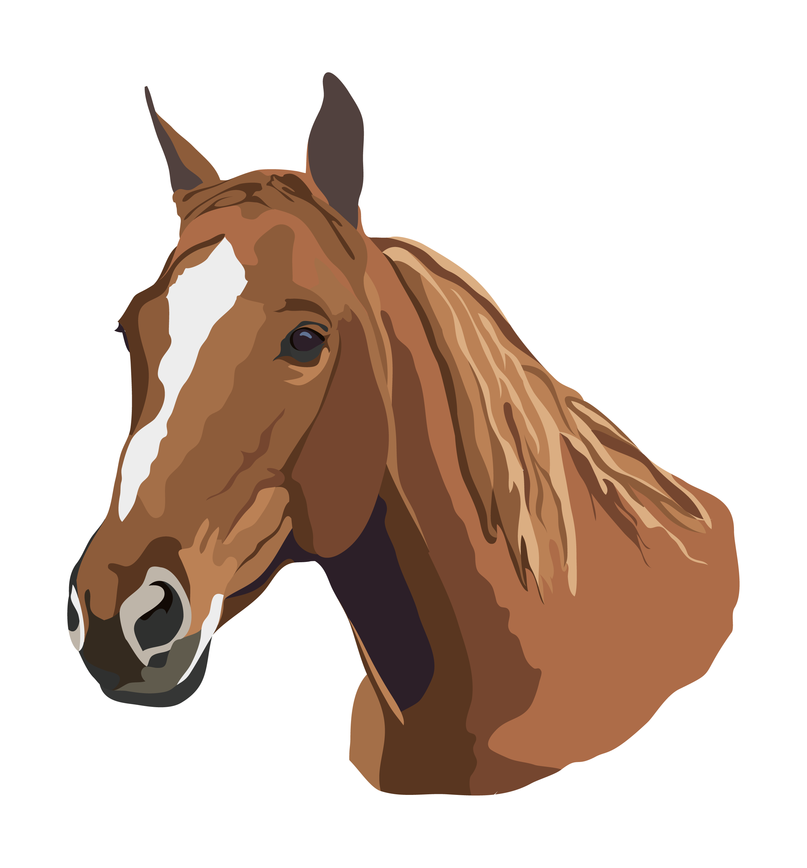 Portrait of a horse